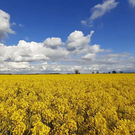 Naturblick Ferienpark Neukalen