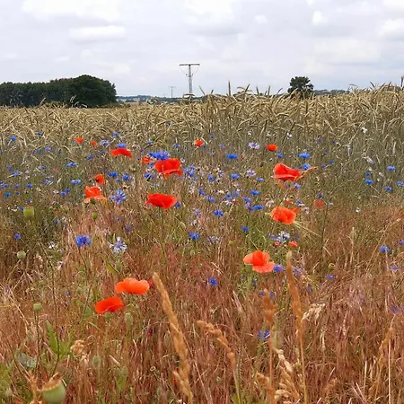 Naturblick منتزه العطل