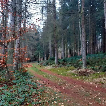 منتزه العطل Naturblick Neukalen