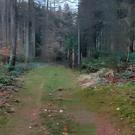 Naturblick منتزه العطل *