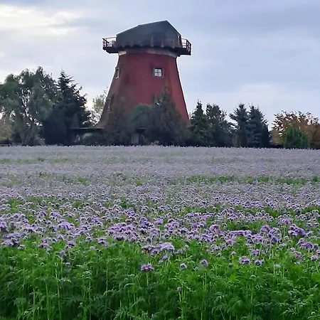 假日公园 Naturoase Am Stadtrand Neukalen