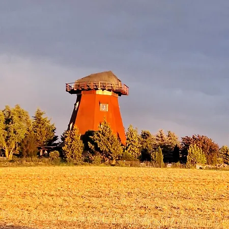 Naturoase Am Stadtrand *