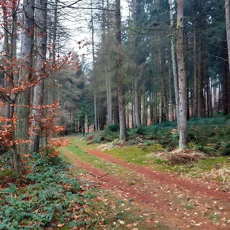 Naturoase Am Stadtrand