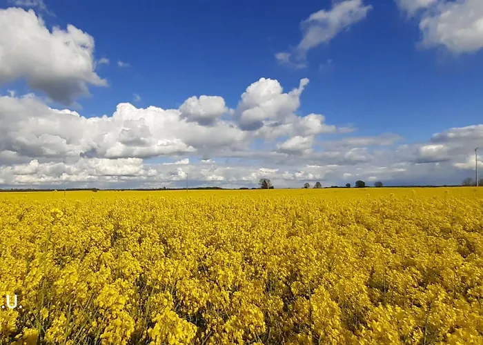 Naturblick Ferienpark Neukalen