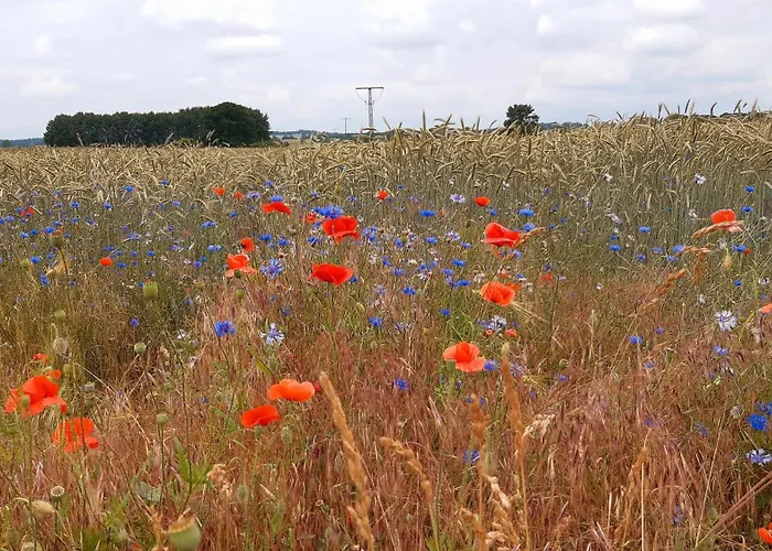 Naturblick Ferienpark