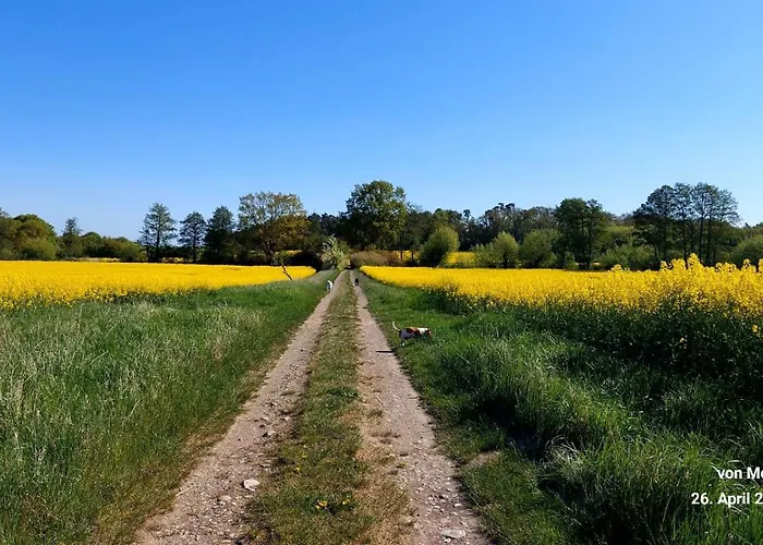 Naturblick Ferienpark *