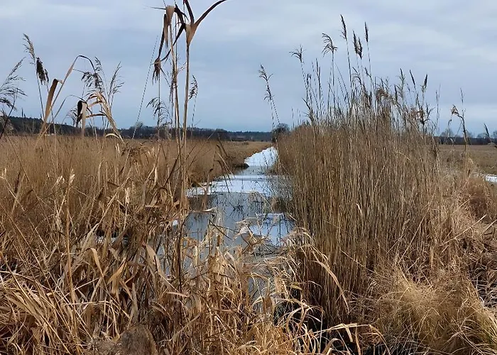 Naturblick Ferienpark